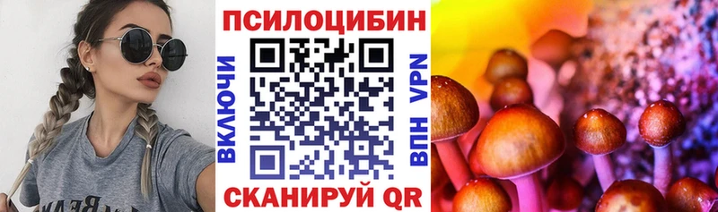 ссылка на мегу   Нея  Псилоцибиновые грибы мухоморы  как найти закладки 